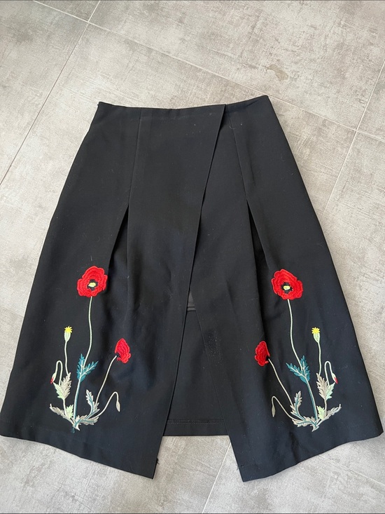 Chicwish Dresses & Skirts - Chicwish Black A-Line Skirt with Red Floral Embroidery